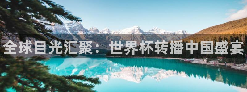 世界杯对阵图2026：全球目光汇聚：世界杯转播中国盛宴