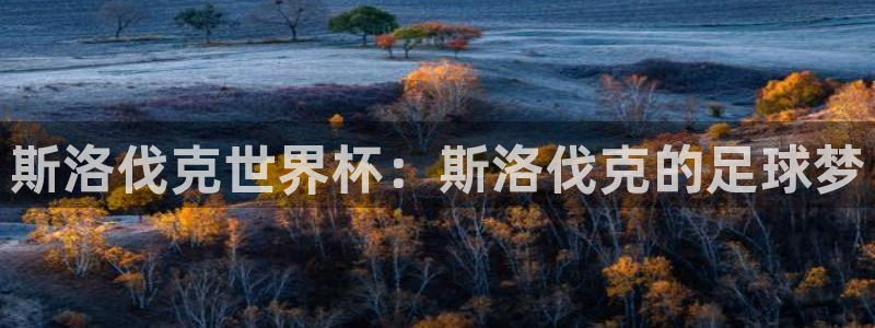 世界杯2026赛制：斯洛伐克世界杯：斯洛伐克的足球梦