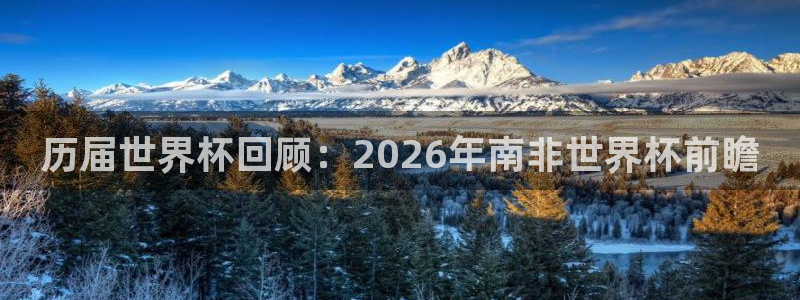 2026年男足世界杯：历届世界杯回顾：2026年南非世界杯前瞻