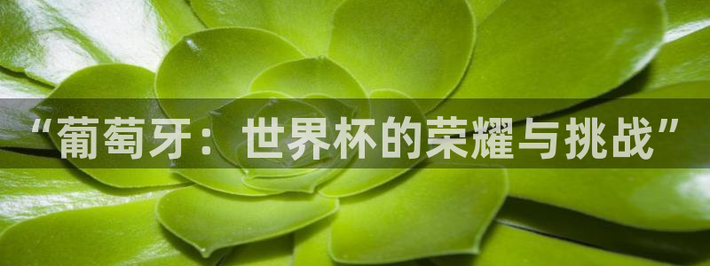 2026世界杯德国队阵容：“葡萄牙：世界杯的荣耀与挑战”