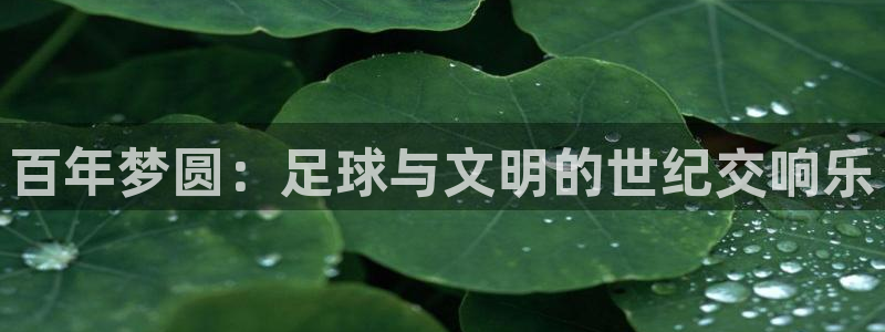 足球世界杯2026：百年梦圆：足球与文明的世纪交响乐
