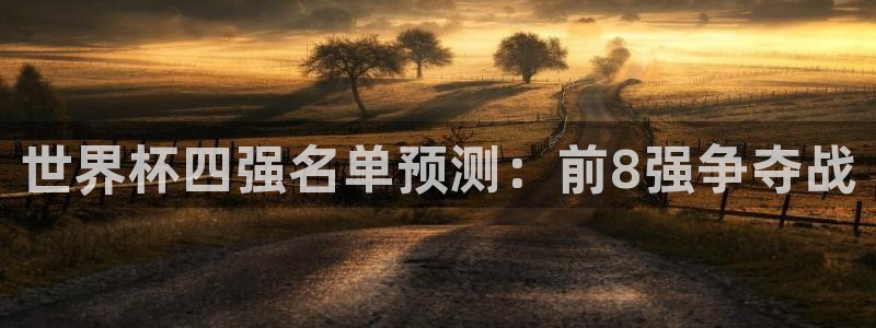 世界杯女足直播：世界杯四强名单预测：前8强争夺战