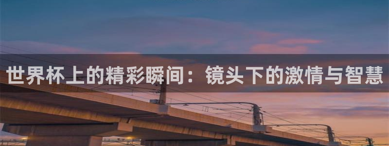 世界杯预选赛欧洲赛区积分榜：世界杯上的精彩瞬间：镜头下的激情与智慧