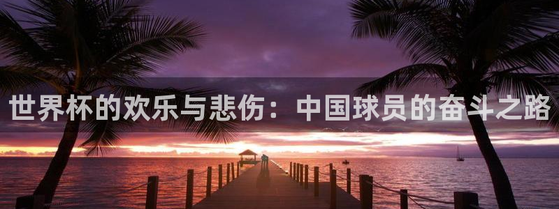 世界杯女足直播：世界杯的欢乐与悲伤：中国球员的奋斗之路