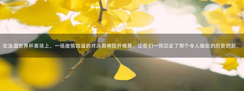世预赛赛程表：在法国世界杯赛场上，一场激情四溢的对决即将拉开帷幕，让我们一同见证了那个令人难忘的历史时刻。