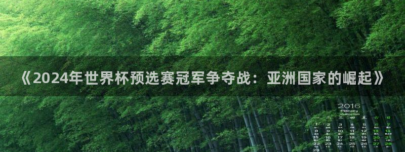世界杯足球赛：《2024年世界杯预选赛冠军争夺战：亚洲国家的崛起》