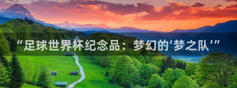 世界杯球队排名：“足球世界杯纪念品：梦幻的‘梦之队’”