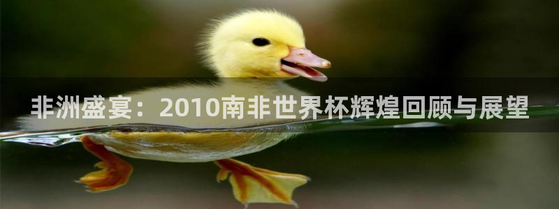 世界杯时间：非洲盛宴：2010南非世界杯辉煌回顾与展望