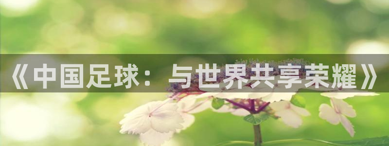 美国世界杯：《中国足球：与世界共享荣耀》